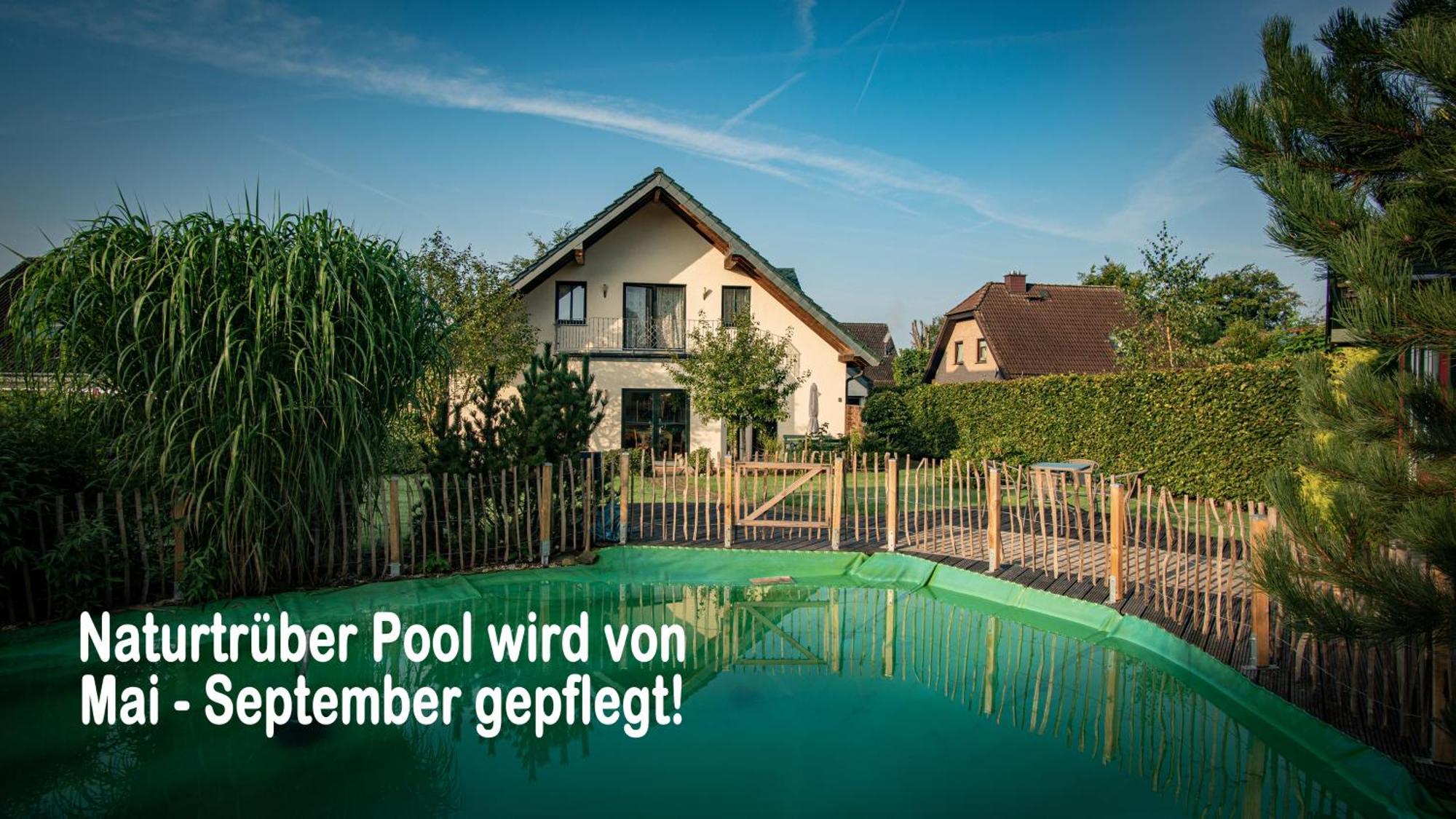 Ferienhaus Mountfrosch Mit Sauna Und Naturpool モンシャウ エクステリア 写真